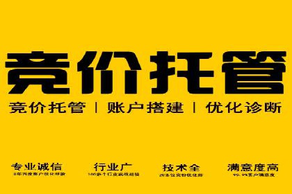 搜索引擎营销（SEM）成功案例详解
